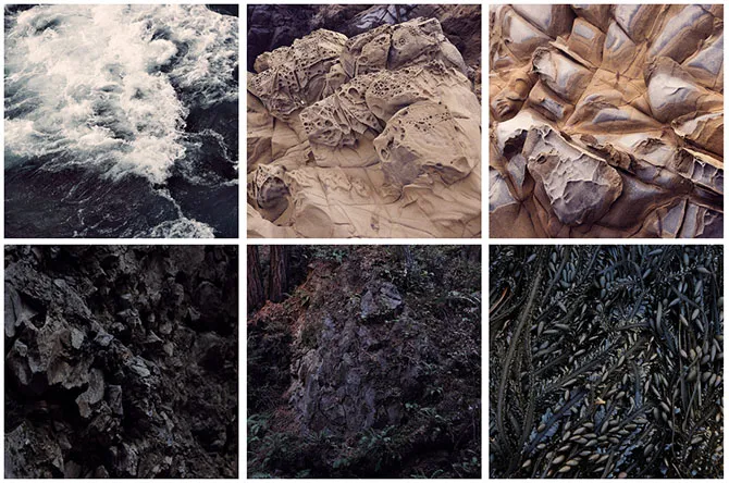Flickr gallery, Folkert Gorter.